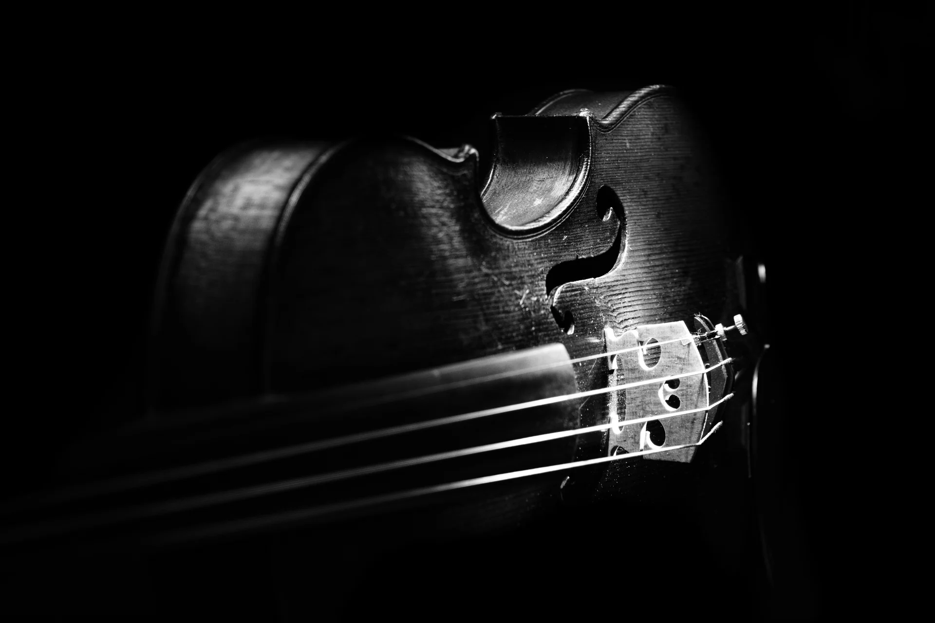 Étude de lumière autour d’un instrument à cordes